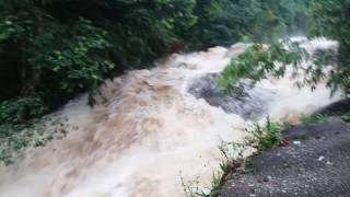 Kepala air di air terjun lata jarum raub pahang [upl. by Atnas292]