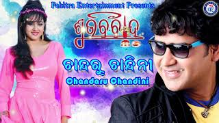 Chandaru Chandini  Odia Movie Song  Subha Bibaha  UditNarayan Ollywood [upl. by Annas336]