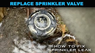 How to Fix a Sprinkler Leak  SPRINKLER VALVE REPLACEMENT [upl. by Iznik]