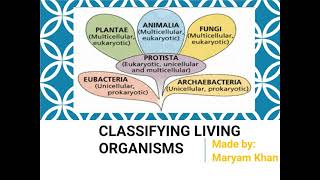 5 Kingdom System Robert Whittaker System of Classification Monera Protista Fungi Plant Animal [upl. by Studley686]