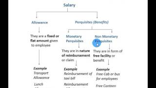 What are allowances and perquisites [upl. by Halik]