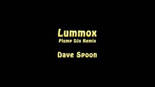 Lummox Plump DJs Remix  Dave Spoon [upl. by Shandra]