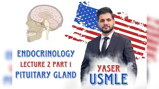 Endocrine Lecture 2a Pituitary gland USMLE Step1  Dr Yaser [upl. by Devinne718]