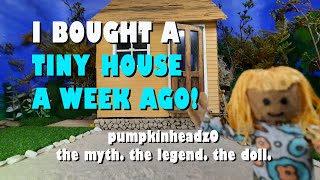 Pumpkinhead Gets a YouTube Studio  Episode 8  Pumpkinheads Tiny Home [upl. by Ellenor320]