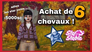 StarStable  ACHAT DE 6 CHEVAUX 5000 star coins [upl. by Putnem]