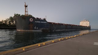 Algoma Discovery Arriving at Hamilton Harbour • October 2 2024 [upl. by Snevets]