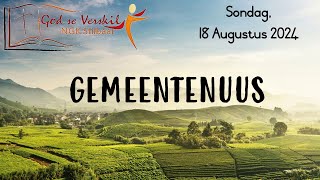 Gemeentenuus vir 18 Augustus 2024  Stilbaai NG Gemeente [upl. by Ronnoc259]