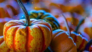 Peaceful music Relaxing music Beautiful Instrumental music quotAutumn Morningquot by Tim Janis [upl. by Greene]