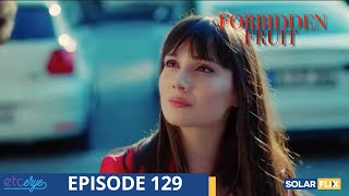 Forbidden Fruit Episode 129  FULL EPISODE  TAGALOG DUB  Turkish Drama [upl. by Risa889]