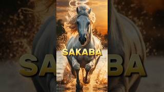 Horse name of prophet Muhammad SAWislmicvideo shortfeed top [upl. by Romano931]