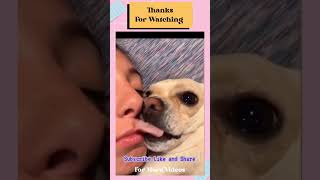 Funniest dogs clips 🤣🐈🤪 shorts [upl. by Asilenna]