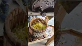 Making apple cider on an antique cider press [upl. by Corin]