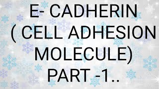 E CADHERIN TYPE 1 CLASSICAL CADHERIN CELL ADHESION MOLECULE [upl. by Esdnil]