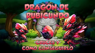 Dragón de Rubicundo cruces y cómo conseguirlo ⭐Dragon Mania Legends [upl. by Hajidak]