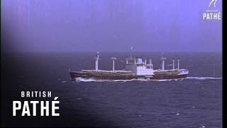 Cargo Ship At Sea 1964 [upl. by Niccolo49]