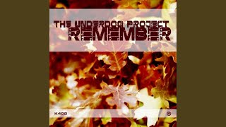 Remember Original Mix [upl. by Ennayllek856]