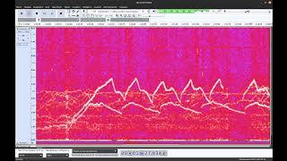 ELF Sound 14112024 start15203h 54h  accelerated 1000 times 1 Hz  1000 Hz [upl. by Sredna]