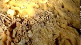 Diros Caves Mani Peloponnese Greece official video from EcotourismGreececom [upl. by Tresa]