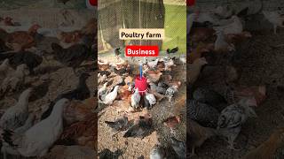 Poultry farm business ll Poultry farm business plan ll open Poultry farm ytshorts poultryfarm [upl. by Ihteerp]