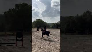 This my first show 080 cm  I was 🥉💜🐴🫶🏻showjumping horses equestrian equestrianjumping [upl. by Yretsym]