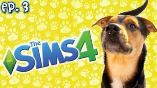 Making My Dog Dexter  The Sims 4 Raising YouTubers as PETS  Ep 3 Cats amp Dogs Expansion [upl. by Ttezzil]