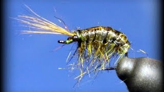 Fly Tying Olive Scud Nymph EASIER than it looks [upl. by Eilliw]