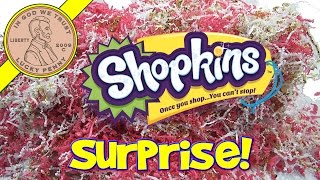 Shopkins Season 3 Bonus Items From Moose Toys [upl. by Kylynn]