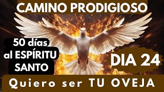 Día 24🔥🙏 camino PRODIGIOSO 50 días con el Espíritu Santo QUERO SER TU OVEJA 🐏🐑🐏 [upl. by Ardet119]