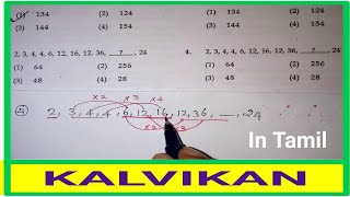 NTSE NUMBERS REASONING IN TAMIL  NMMS MENTAL ABILITY TEST IN TAMIL NMMS MAT QUESTIONS IN TAMIL [upl. by Yrdnal]