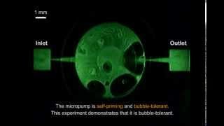 Electromagnetically actuated nozzlediffuser micropump [upl. by Jobe]