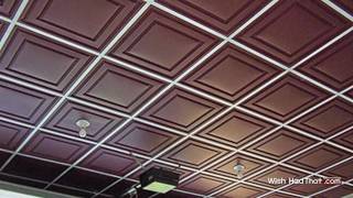 Thermoform Vinyl Ceiling Tiles  WishiHadThatcom [upl. by Missie]