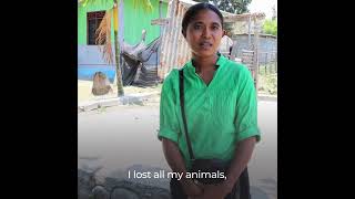 Anticipatory Action in TimorLeste Bracing for Drought [upl. by Courtnay680]