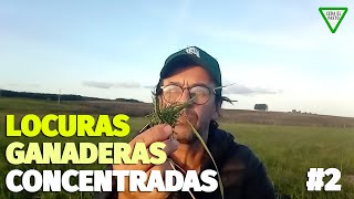 Locuras Ganaderas Concentradas 2 más avena gramilla y piso [upl. by Aynad]