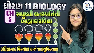 Std 11 Biology ch 5  Morphology of Flowering Plants  સપુષ્પી વનસ્પતિની બાહ્યાકારવિદ્યા  L 5  SM [upl. by Philina]