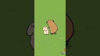 Chill Capybarass Happy and Relaxable Life funny capybara animals [upl. by Arodal]