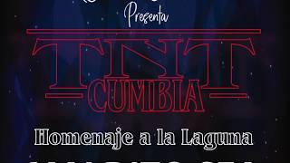 TNT CUMBIA Ft LUZELE MALDITO SEA TU AMOR [upl. by Kerat]