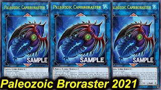 【YGOPRO】PALEOZOIC CAMBRORASTER DECK 2021 [upl. by Otsirc]