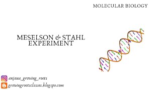 Meselson amp Stahl Experiment [upl. by Keegan]