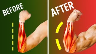 The Best 8 Forearm Exercises At Home [upl. by Akiria]