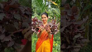 Lal shak recipe in bengali styleforyou shorts viralvideo [upl. by Ogden]