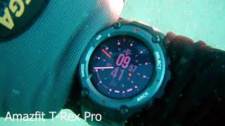 Amazfit TRex Pro Diving Tested to 20M depth Saltwater Diving [upl. by Sidwell315]