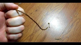 Making cordage from indian hemp Apocynum cannabinum [upl. by Clemmie]