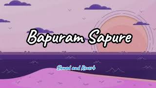 Bapuram Sapure LoFi SlowedReverb [upl. by Ajnot838]