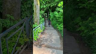 Into the Clouds Exploring Bastei Bridges Majestic Heights viral nature youtubeshorts shorts [upl. by Seth]