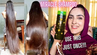 GRANDMAS SECRET HERBAL SHAMPOO Amla Reetha  Shikakai NATURAL DIY REMEDY [upl. by Katlin]