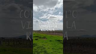 Conociendo Viñedos la Redonda queretaro viñedo viajes vino 2024 vlogs [upl. by Rossie605]