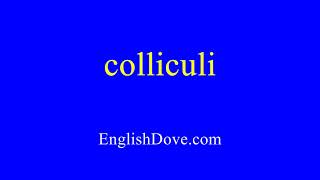 How to pronounce colliculi in American English [upl. by Rebmat]