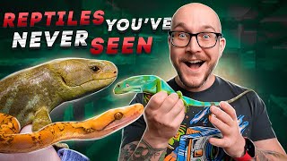 5 Of My Rarest Reptiles Ive Never Shown You Before  Mini Reptile Room Tour [upl. by Sontag]