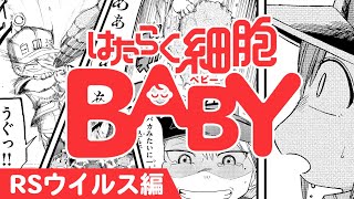 【漫画】ほぼ半数の赤ちゃんが感染するという…RSウイルス編！👶『はたらく細胞BABY』 ㊗はたらく細胞アニメ化【公式】 [upl. by Francisca989]