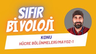 Hücre Bölünmeleri Mayoz1 Sıfır Biyoloji  Dr Biyoloji [upl. by Viridis]